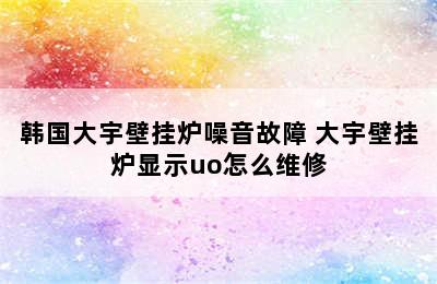 韩国大宇壁挂炉噪音故障 大宇壁挂炉显示uo怎么维修